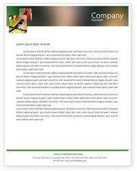 south-african-company-letterhead-template