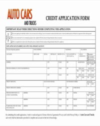automobile-credit-application-template