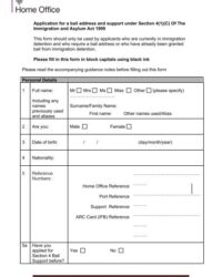 bail-application-template-uk