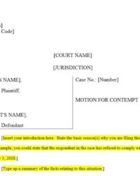 contempt-of-court-application-template