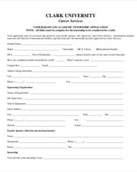 summer-internship-application-template