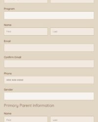 therapy-abroad-application-template