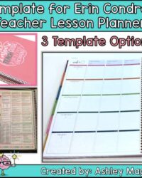 erin-condren-teacher-planner-lesson-plan-template