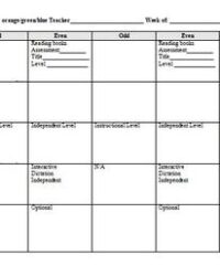 leveled-literacy-intervention-lesson-plan-template