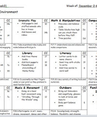 nc-foundations-lesson-plan-template
