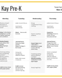 preschool-lesson-plan-template-with-objectives