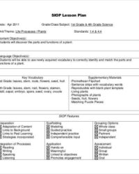 siop-lesson-plan-template-4