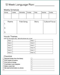 spanish-class-lesson-plan-template