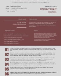 social-media-agency-scope-of-work-template